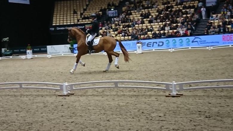 Unik Bnb Midt I Byen Herning Eksteriør billede